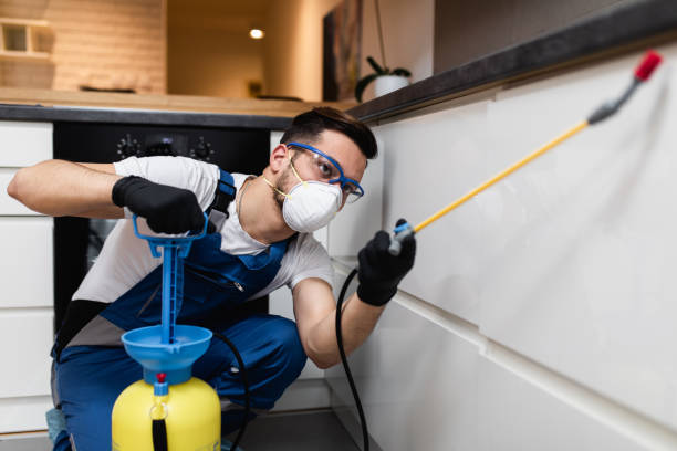 Best Bed Bug Extermination  in Hearne, TX