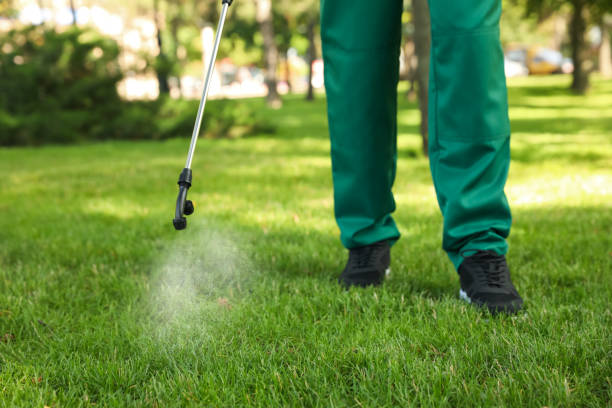 Best Wasp Removal Services  in Hearne, TX