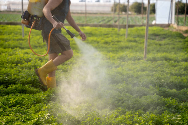Best Affordable Pest Control Services  in Hearne, TX