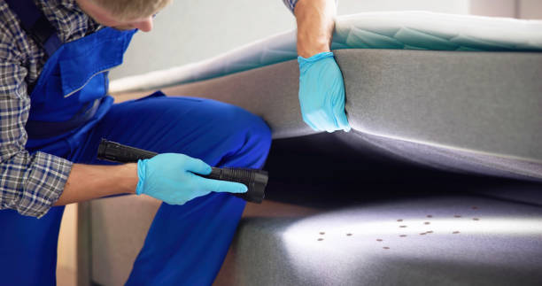 Best Pest Inspection Near Me  in Hearne, TX