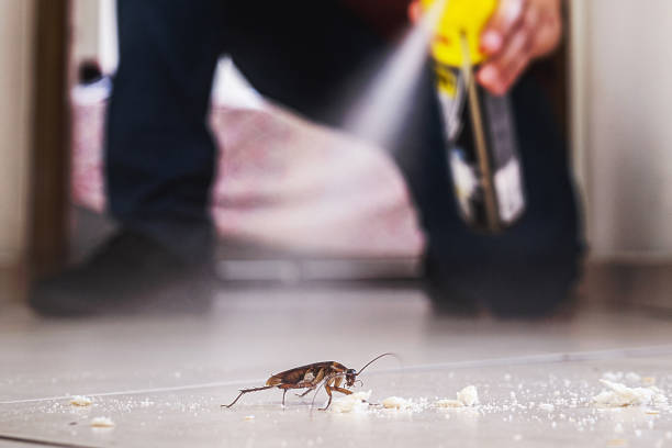 Best Wildlife Control Services  in Hearne, TX