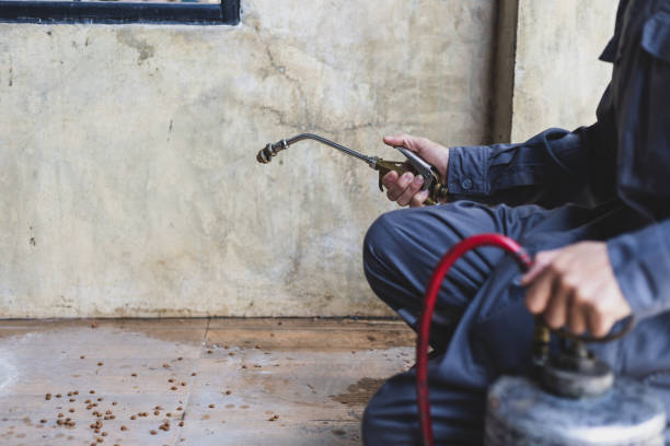 Best Flea Control Services  in Hearne, TX